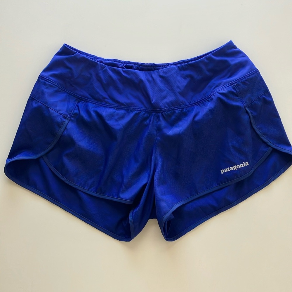 Patagonia Women's Blue Shorts